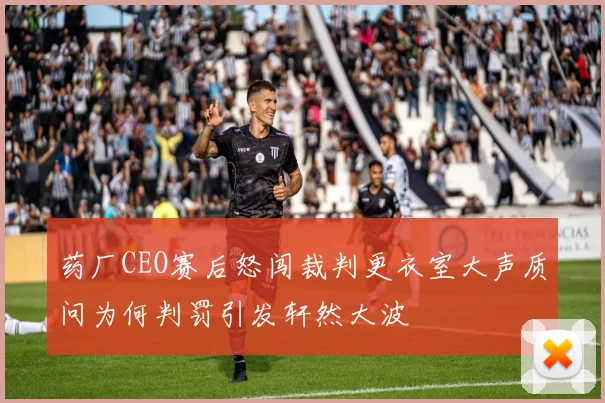 药厂CEO赛后怒闯裁判更衣室大声质问为何判罚引发轩然大波