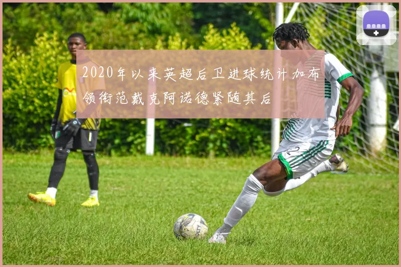 2020年以来英超后卫进球统计加布领衔范戴克阿诺德紧随其后