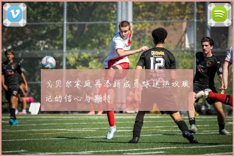 戈贝尔家庭再添新成员球迷热议狼记的信心与期待